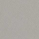 Dillon