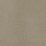Feather Grain
