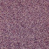Speck