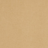 Tolstoy