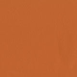 Viceroy