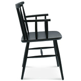 Starling Arm Chair