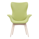 Aska Arm Chair