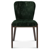 Aurora Chair