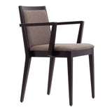 Trunks Arm Chair