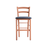 Venezia Bar Stool