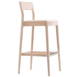 Busci Bar Stool