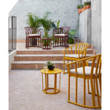 Calderon Low Table