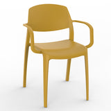 Cora Arm Chair