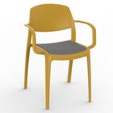 Cora Arm Chair