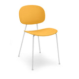 Echo Plastic