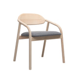 22PR065 Ivo | Olive [ Elia & Elio]