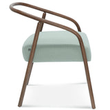 Noodle Bentwood Arm Chair