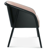 Noodle Bentwood Upholstered Arm Chair