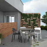Orsola Chair