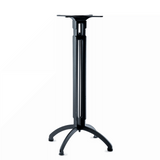 20PR1269 Seeley [CONTI NEW]