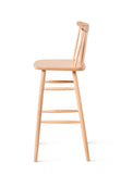 Renee Bar Stool