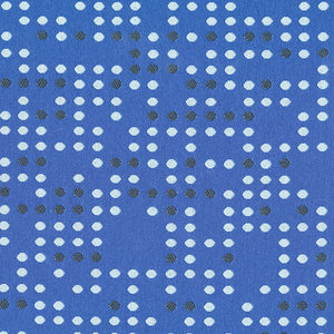 Punch Card | Blue Jay